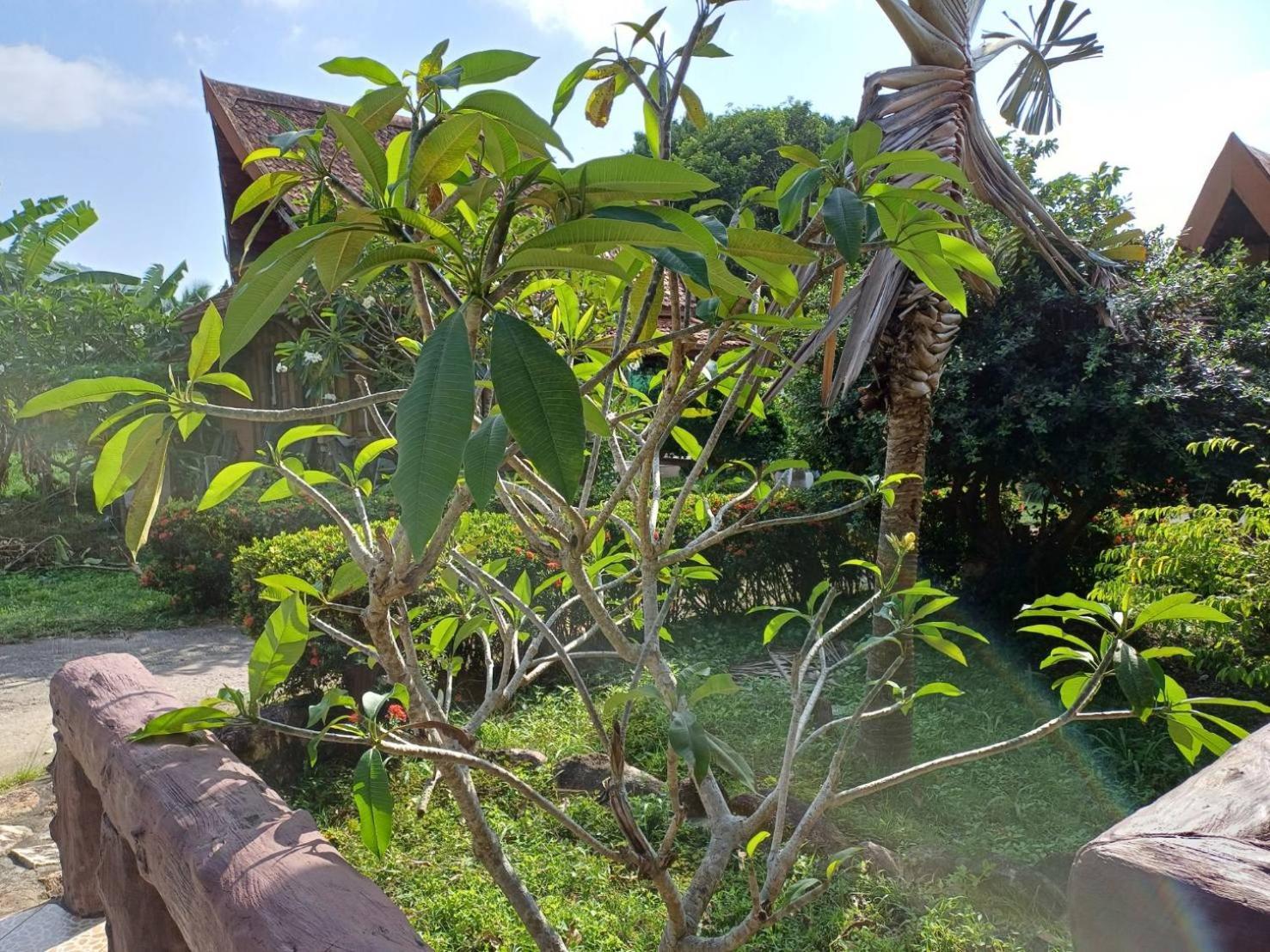 Orchid Home เกาะเต่า ภายนอก รูปภาพ